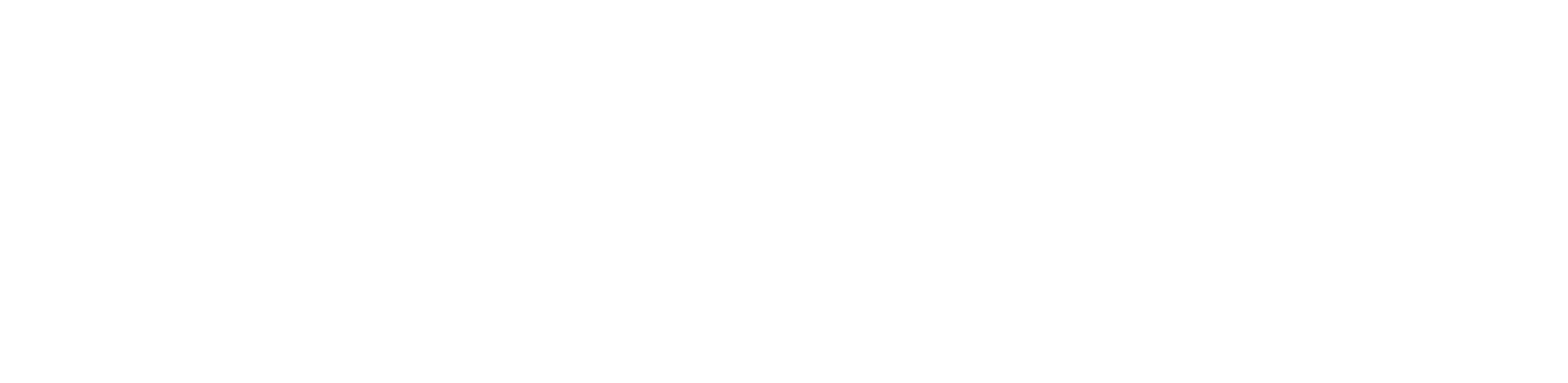 NudeOverse